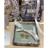 Dior Clair D Lune Earrings Golden