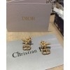 Dior Clair D Lune Earrings Golden