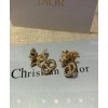 Dior Clair D Lune Earrings Golden