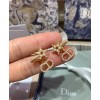 Dior Clair D Lune Earrings Golden