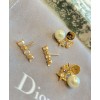 Dior Dio(R)Evolution Earrings Golden