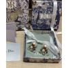 Dior Dior Tribales Earrings Golden
