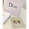 Dior Dior Tribales Earrings Golden
