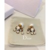 Dior Dior Tribales Earrings Golden