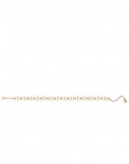 Dior 30 Montaigne Chain Link Choker Necklace Golden