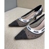 Dior Black And Nude Jadior Plumetis Pump Black