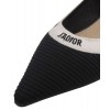 Dior JAdior Embroidered Ballet Flat Black