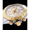 Rolex White Dial Dayton Watch White